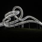 Tiger & Turtle