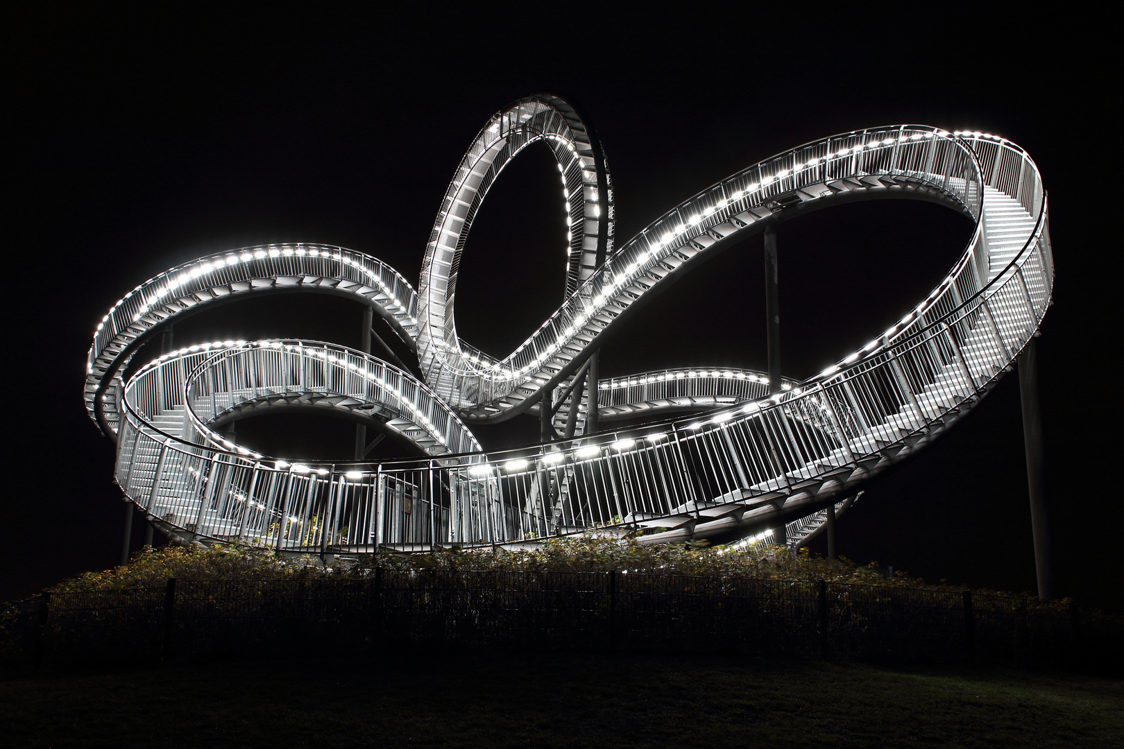 Tiger & Turtle