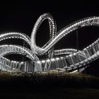 Tiger & Turtle