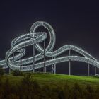 Tiger & Turtle