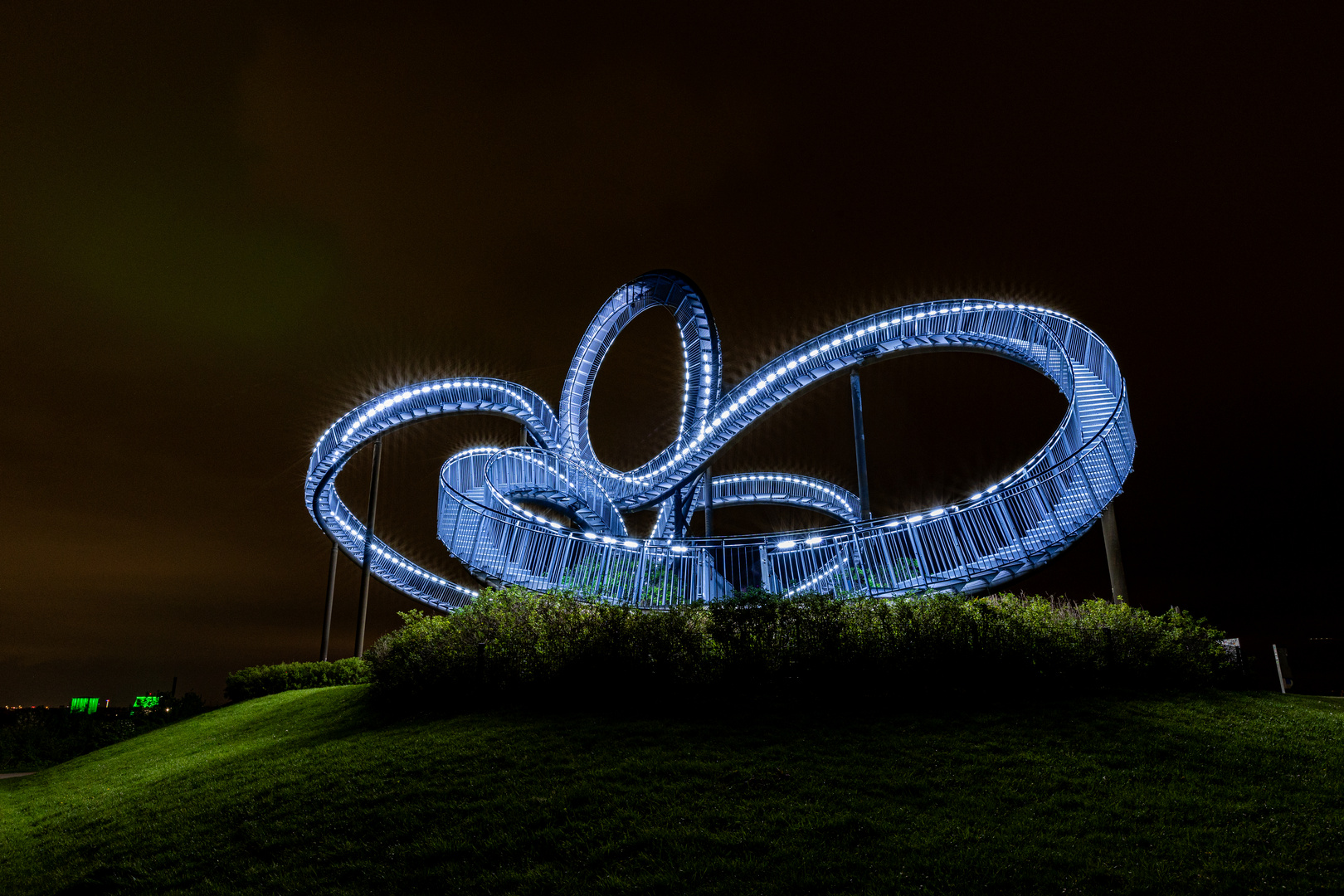 Tiger & turtle