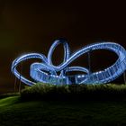 Tiger & turtle