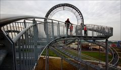 Tiger & Turtle 16