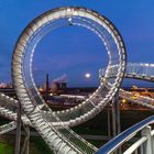 Tiger & Turtle