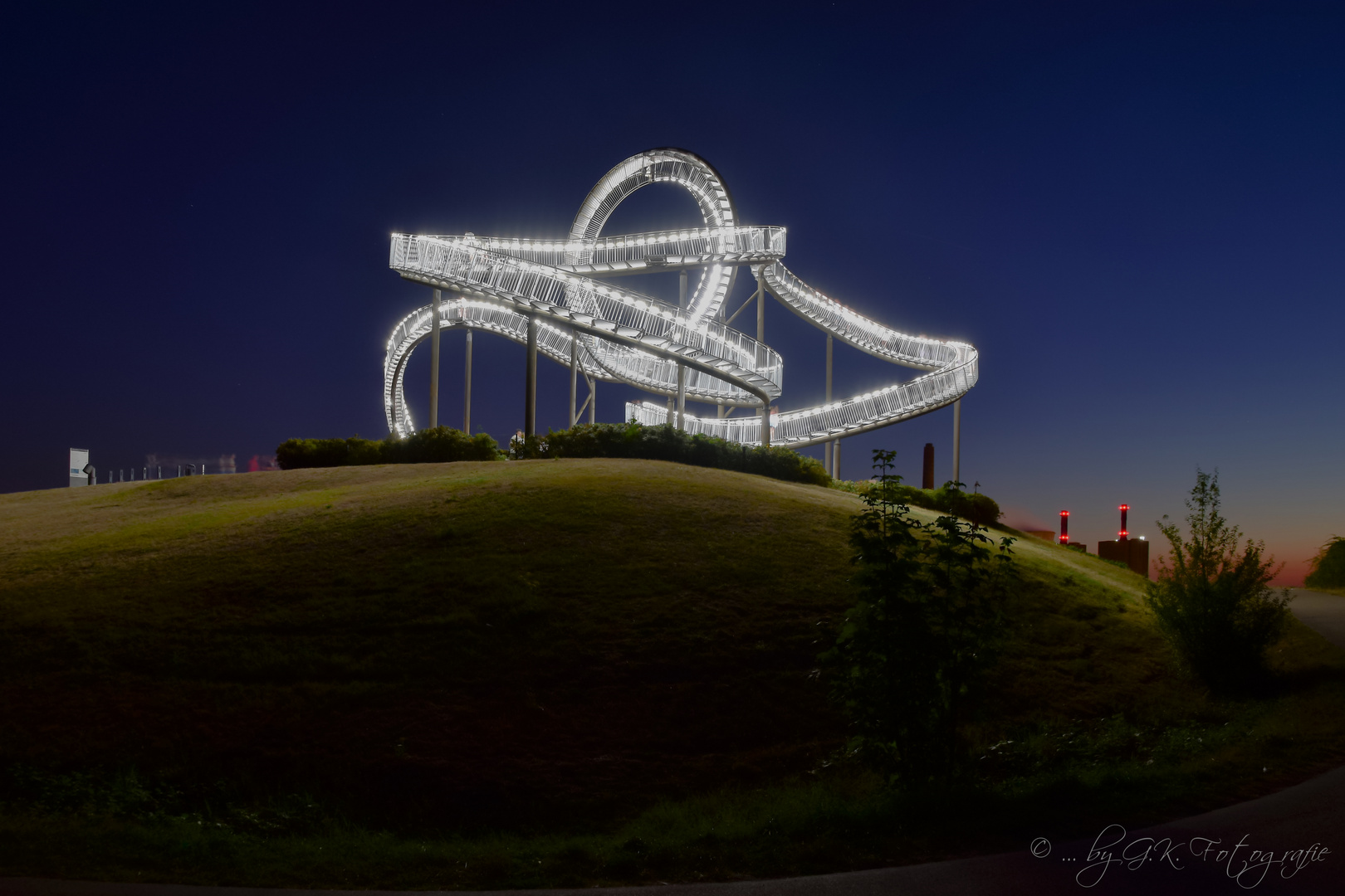 Tiger & Turtle