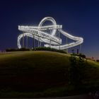 Tiger & Turtle