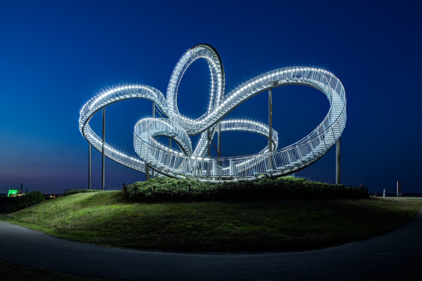 Tiger & Turtle