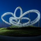 Tiger & Turtle