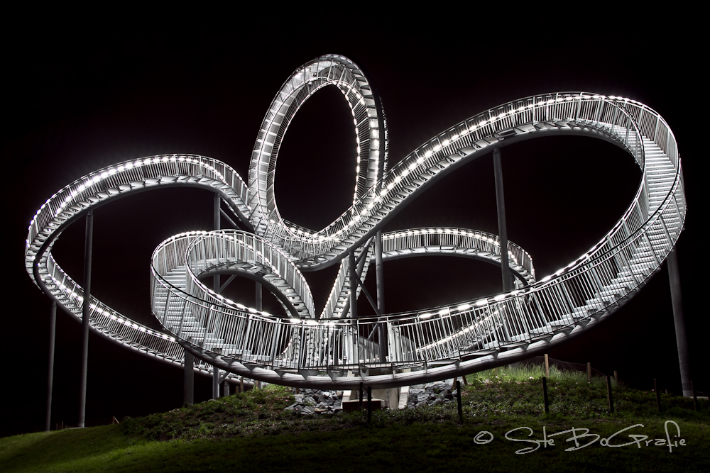 Tiger & Turtle