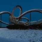 Tiger & Turtle