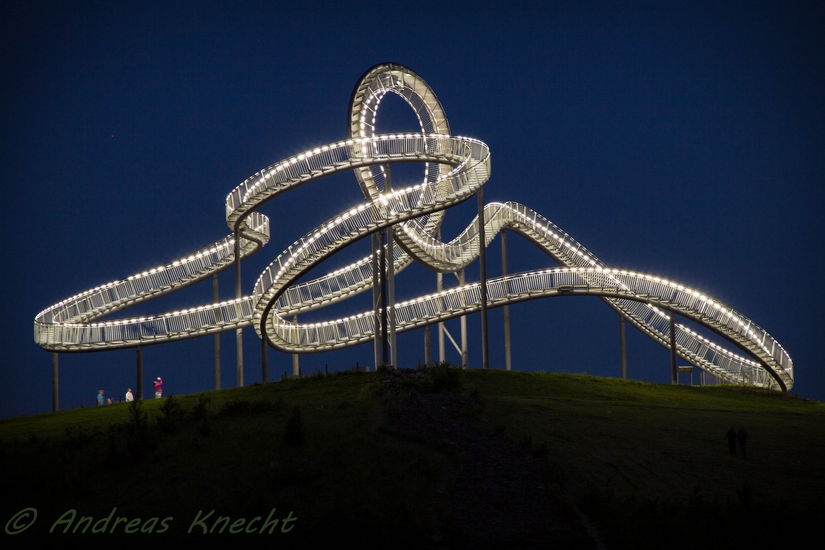 "Tiger & Turtle"