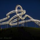 "Tiger & Turtle"