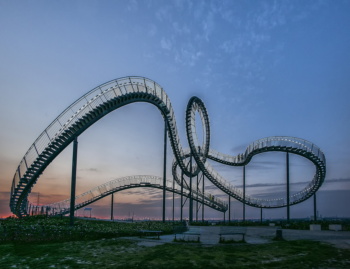 tiger & turtle