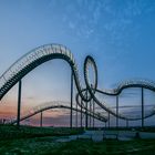 tiger & turtle