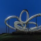 Tiger & Turtle ...