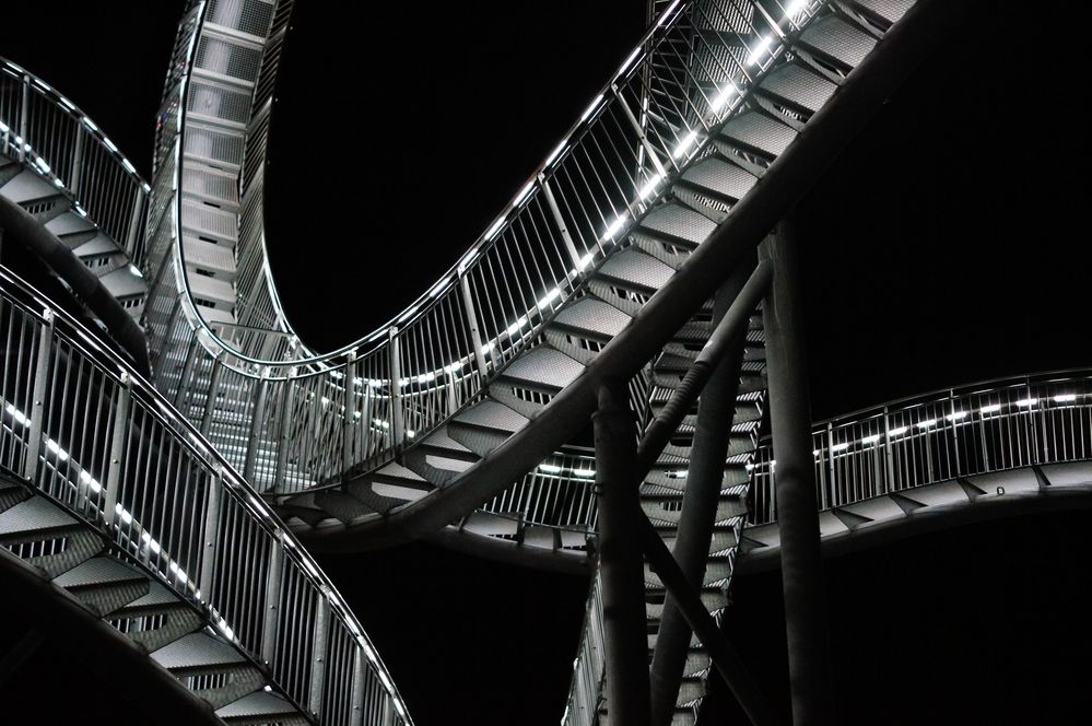 Tiger & Turtle