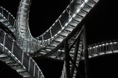 Tiger & Turtle