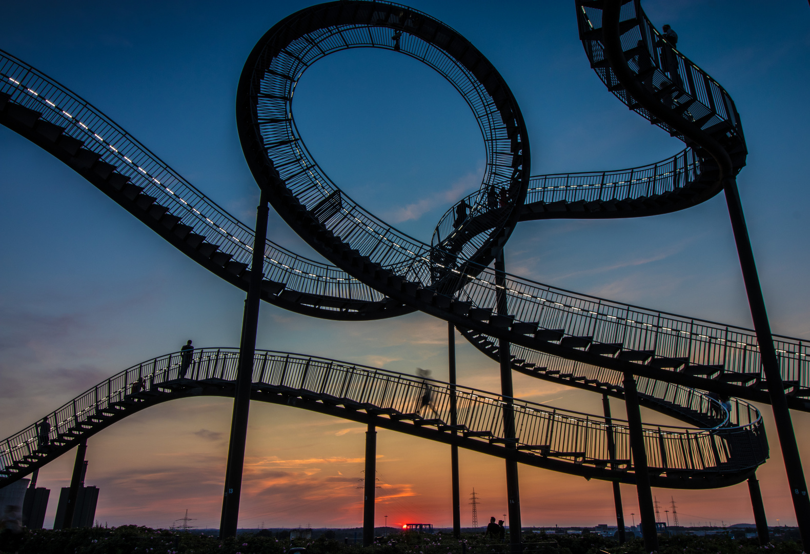 Tiger & Turtle