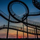 Tiger & Turtle