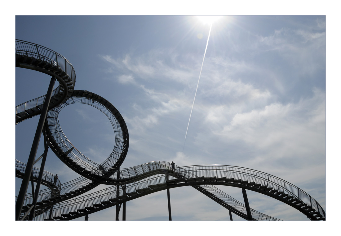 Tiger & Turtle