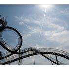 Tiger & Turtle