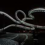 Tiger & Turtle  ..