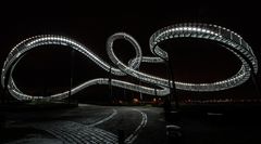 Tiger & Turtle  ..