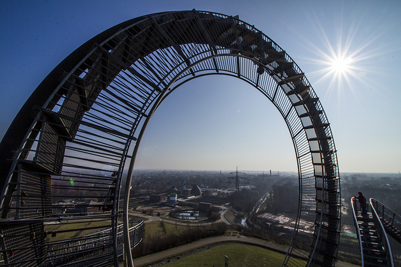 Tiger & Turtle 2