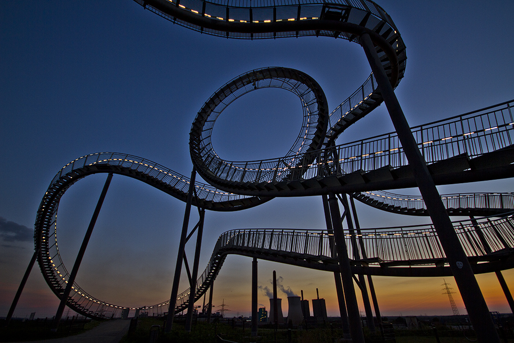 Tiger & Turtle (2)