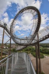 Tiger & Turtle 2