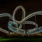 Tiger & Turtle 2