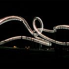 Tiger & Turtle - 2