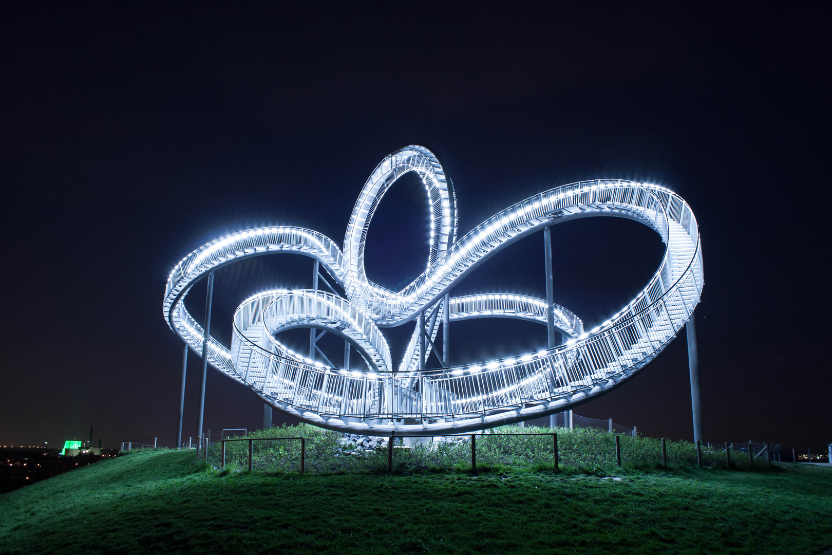 Tiger & Turtle 2