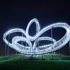 Tiger & Turtle 2