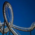 Tiger & Turtle 2