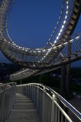 Tiger & Turtle 2