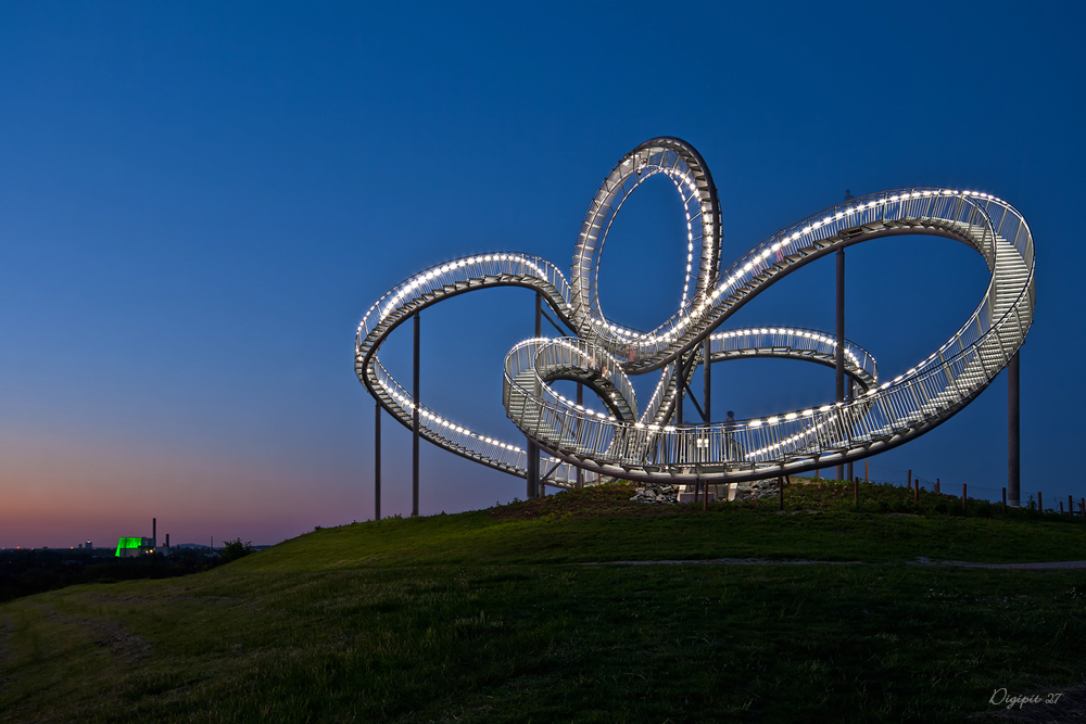 Tiger & Turtle 2