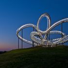 Tiger & Turtle 2