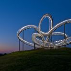 Tiger & Turtle 2