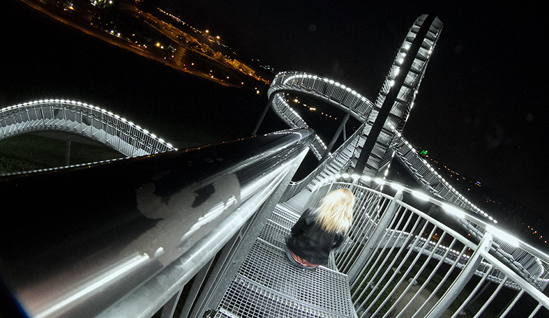 Tiger & Turtle 2