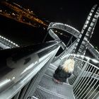 Tiger & Turtle 2