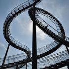 Tiger & Turtle 2