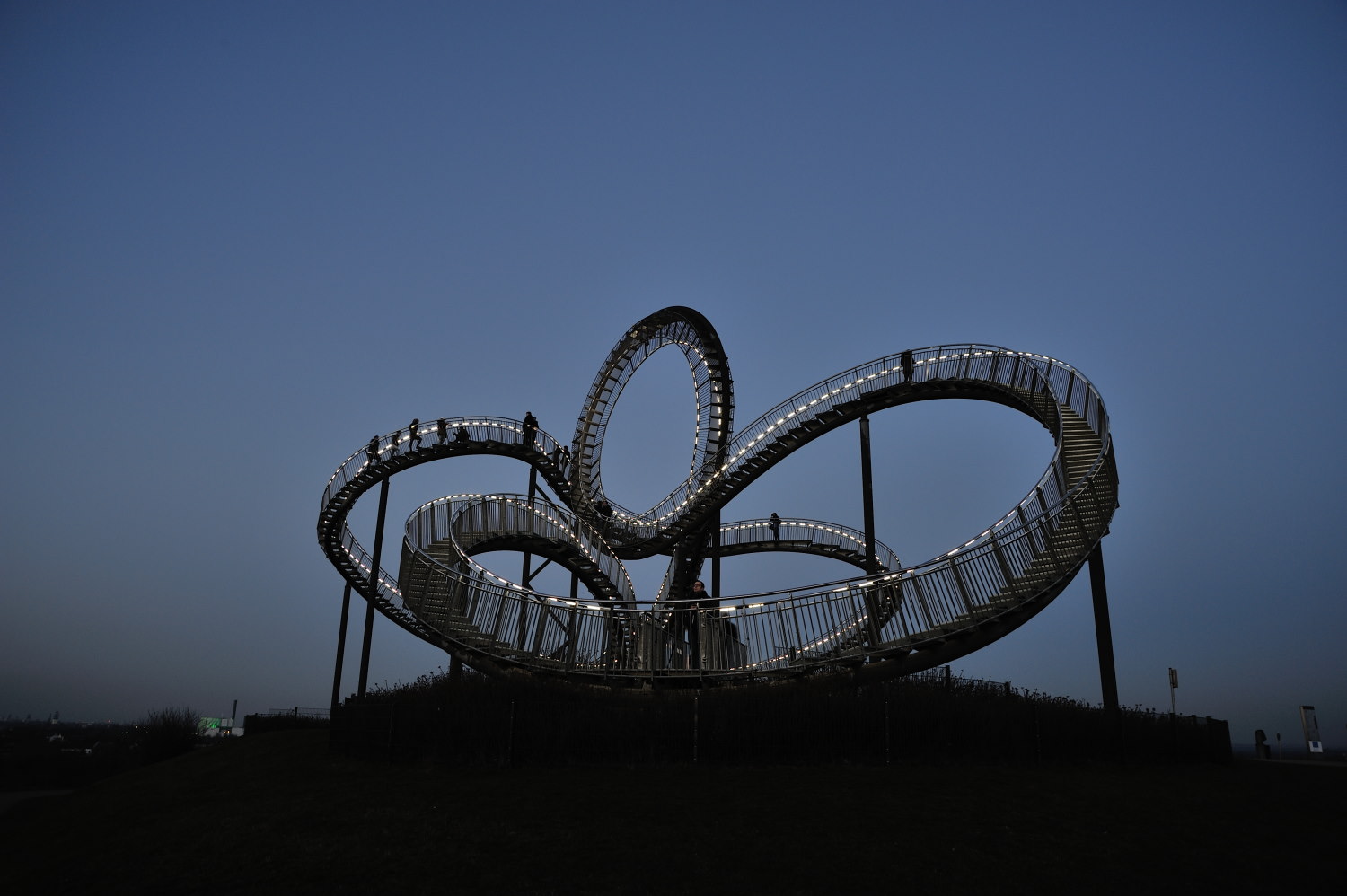 Tiger & Turtle 2