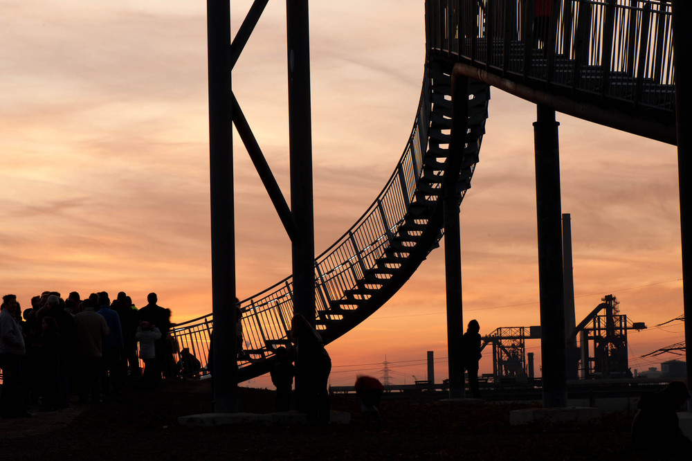 Tiger & Turtle 2