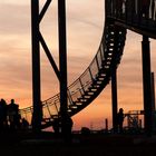 Tiger & Turtle 2