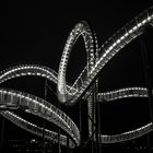 Tiger & Turtle 2