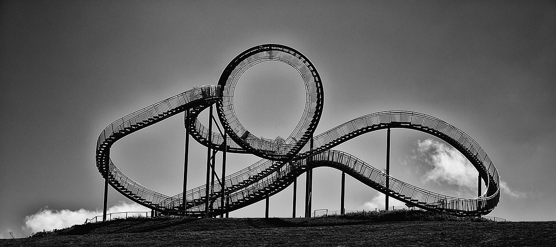 Tiger & Turtle 2