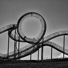 Tiger & Turtle 2