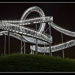 Tiger & Turtle 2