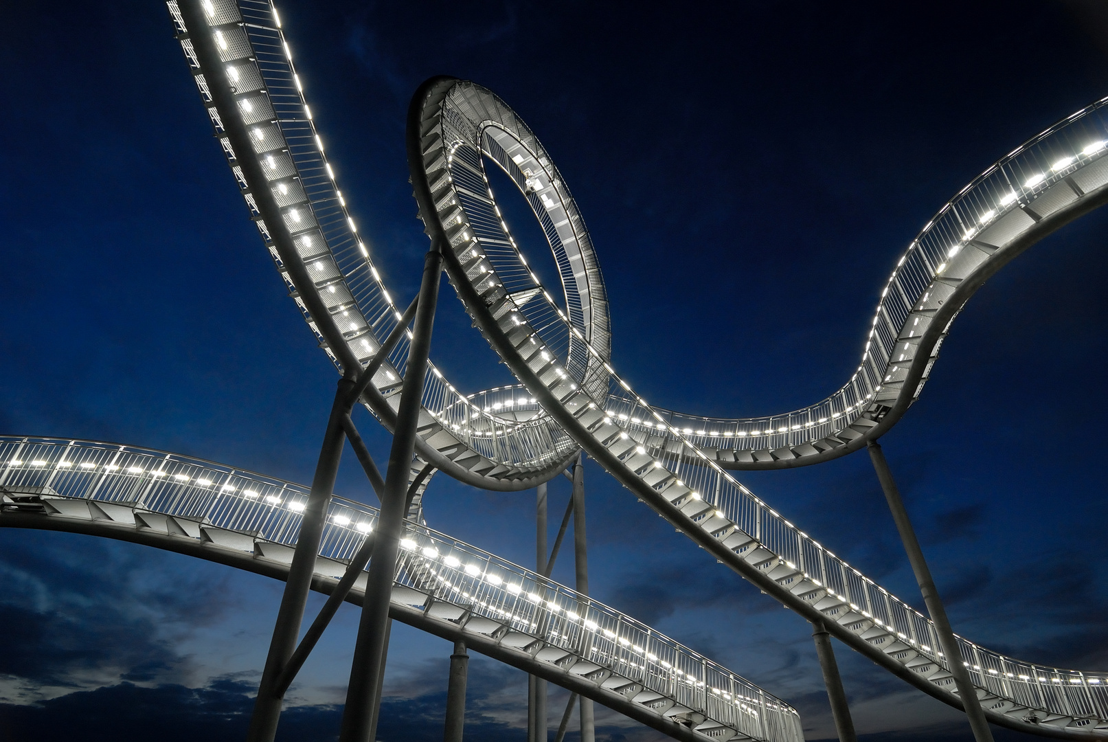 Tiger & Turtle (2)